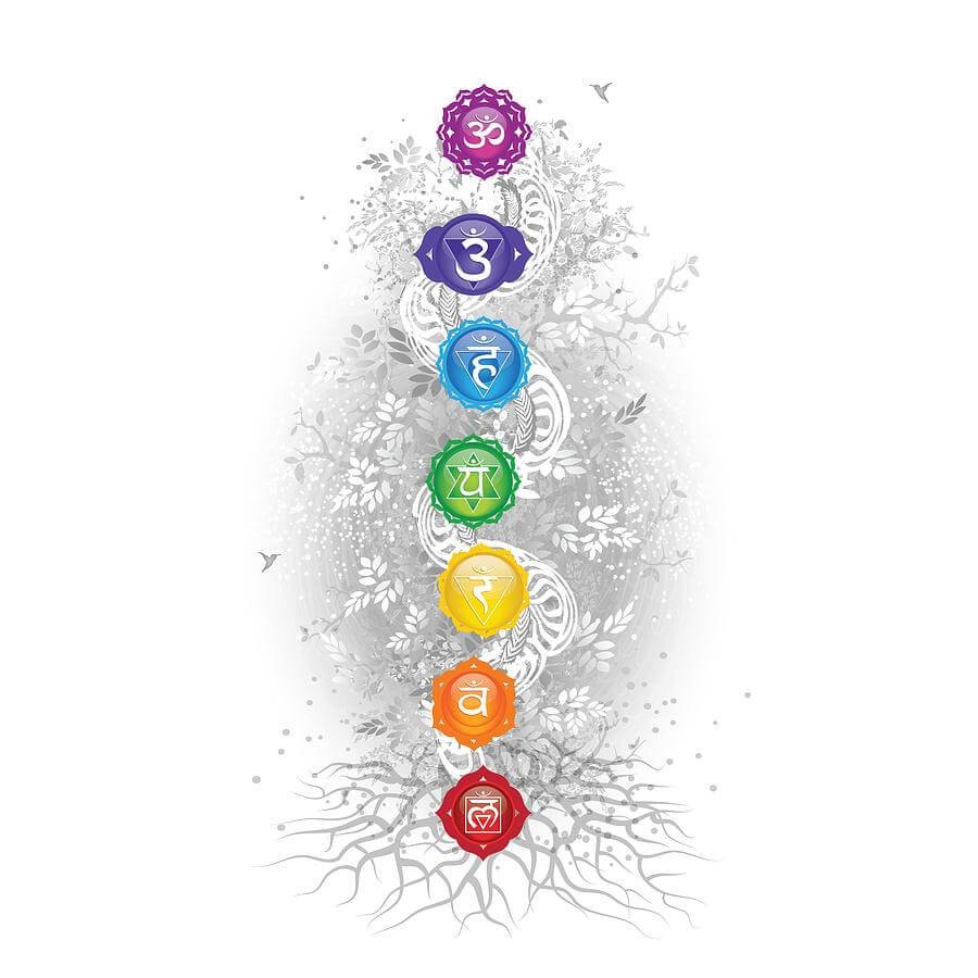 seven chakra